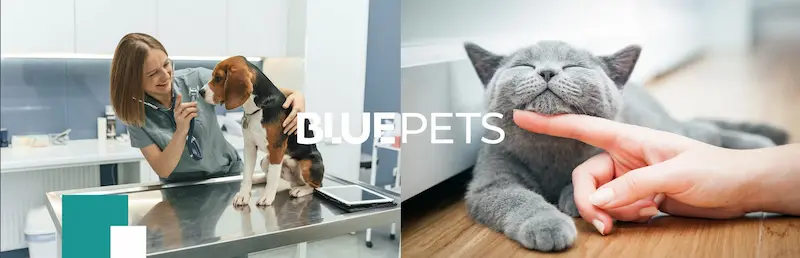 Seguros para animales Reale Blue Pets  en Sant Pere de Ribes y Vilafranca